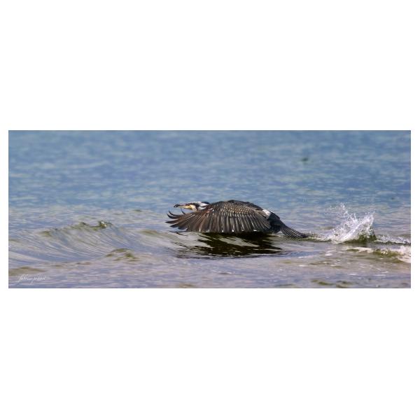 PHOTO84, CLUB, 84 , LUBERON